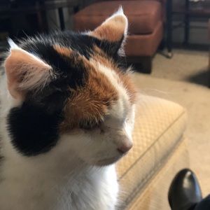 Meet your Posher, Laura